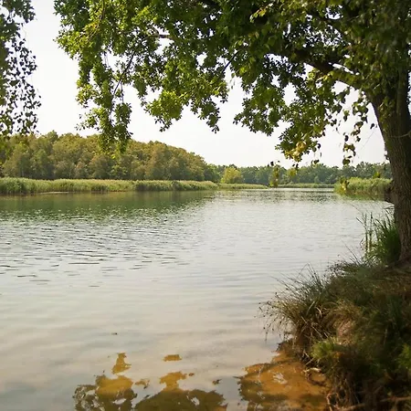 Lejlighed Hospoda-ferienhaus Am Olba-see