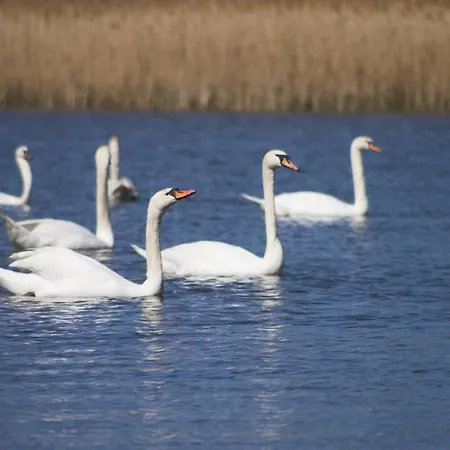 Lejlighed Hospoda-ferienhaus Am Olba-see