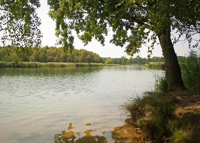 شقة Hospoda-ferienhaus Am Olba-see