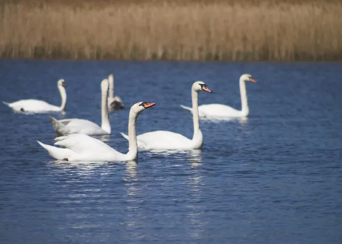 شقة Hospoda-ferienhaus Am Olba-see
